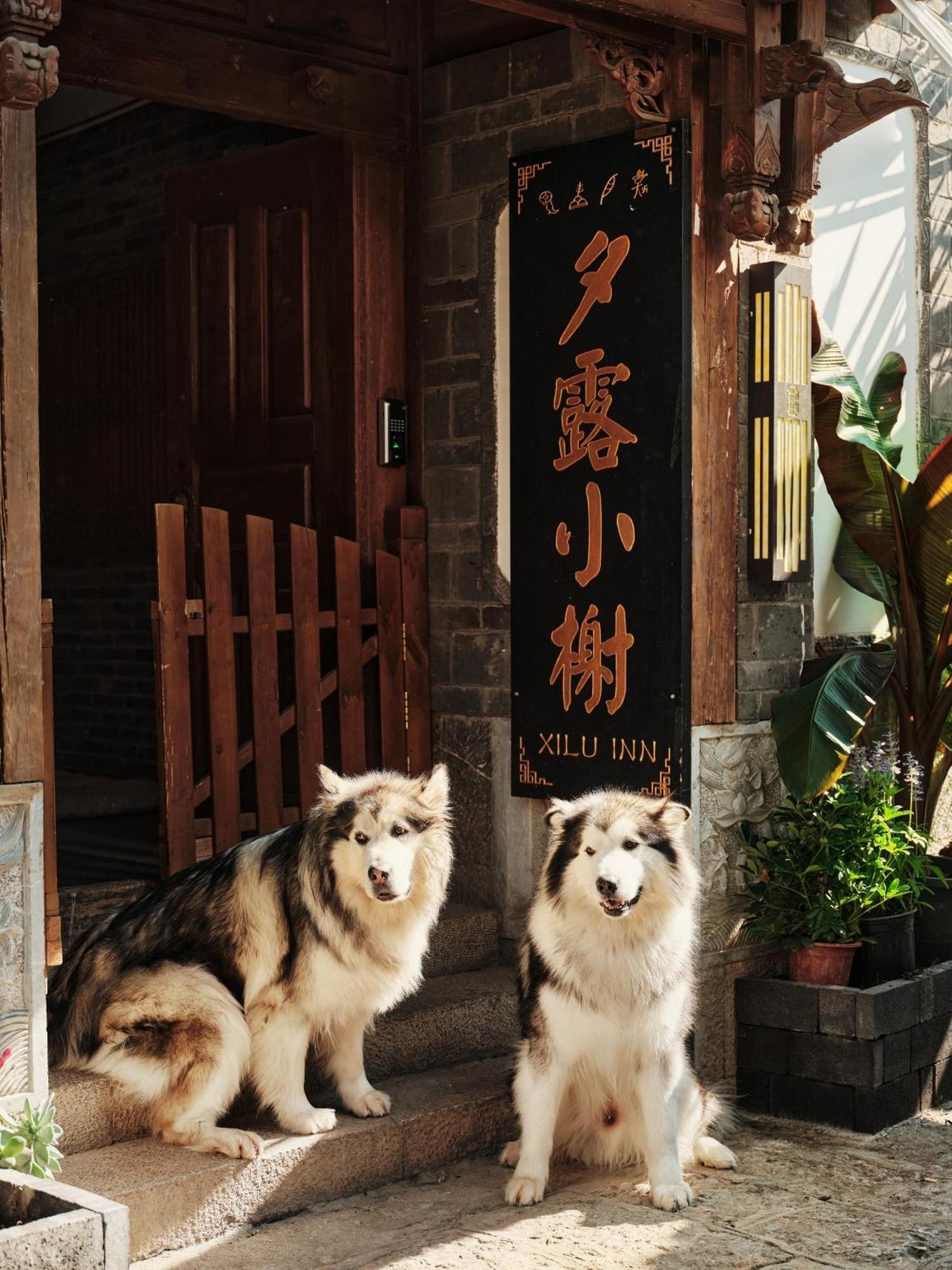 Xilu Xiaoxie Inn Old Town Lijiang Licsiang Kültér fotó