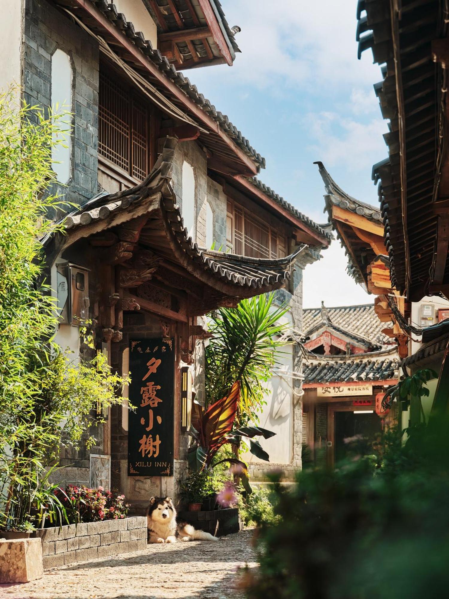 Xilu Xiaoxie Inn Old Town Lijiang Licsiang Kültér fotó