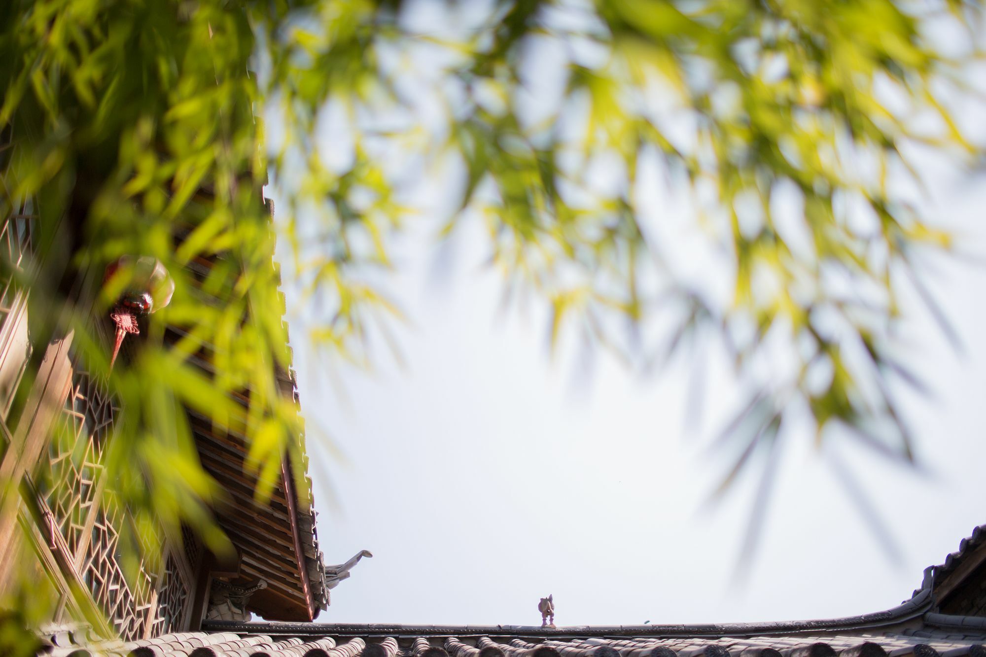 Xilu Xiaoxie Inn Old Town Lijiang Licsiang Kültér fotó