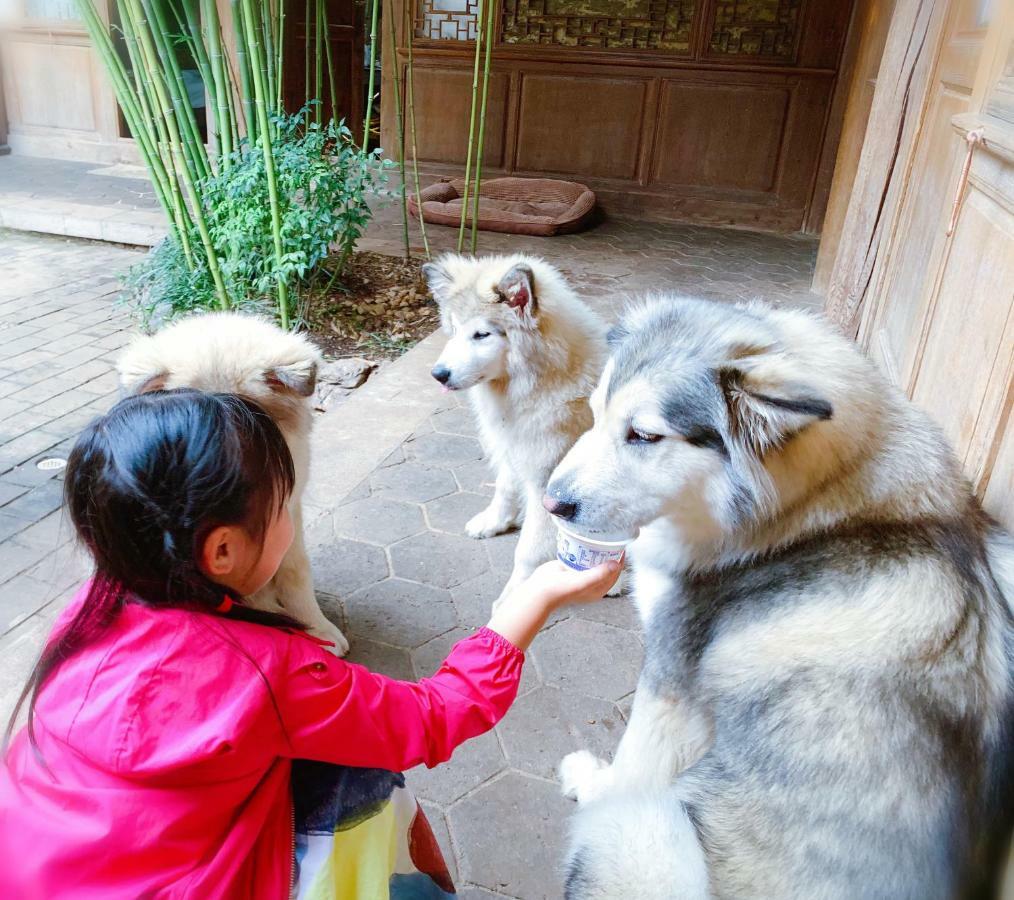 Xilu Xiaoxie Inn Old Town Lijiang Licsiang Kültér fotó
